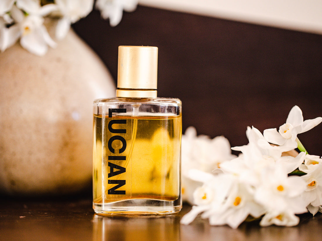 moral udluftning Signal Perfume or Parfum? – Luciancandles