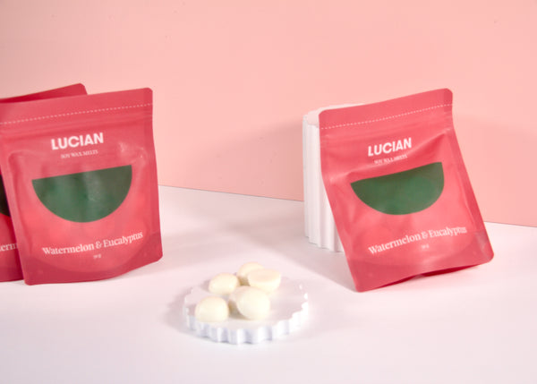 Watermelon & Eucalyptus Soy Wax Melts